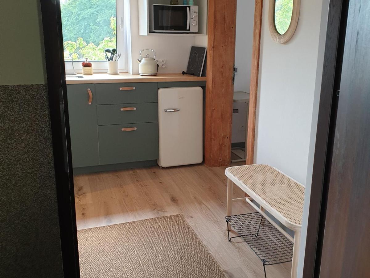 Apartament Przy Stawie Zdrojowym Kudowa-Zdroj Dış mekan fotoğraf